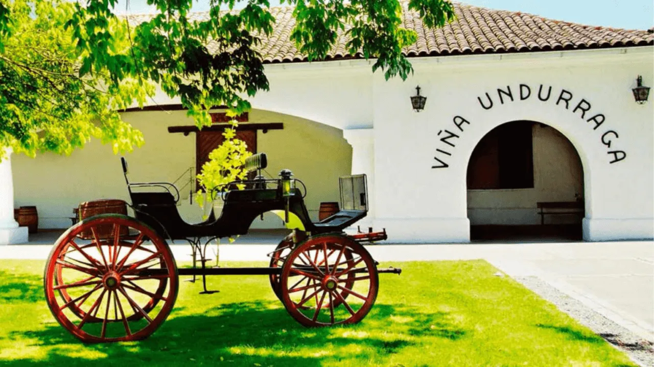 Entre Vinhas e Sabores: A Experiência na Vinícola Undurraga